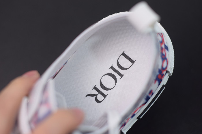 DR B23 OBLIQUE LOW TOP “CD Ghosting"